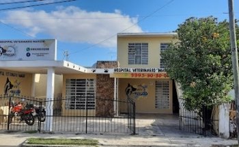 CENTRO VETERINARIO HV MARGOD
