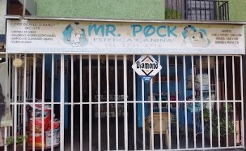 MR. POCK