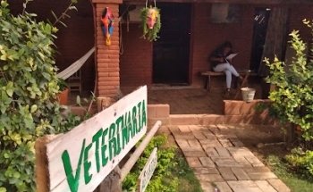 Clinica Veterinaria San Antonio