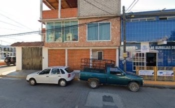 Médico Veterinario Zootecnista