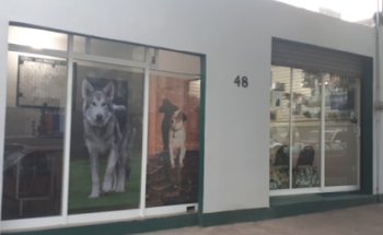 Consultorio Para Animales