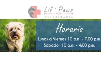 Lil' Paws Veterinaria