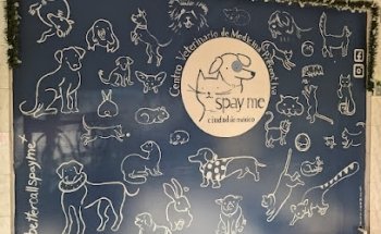 Spay Me CDMX