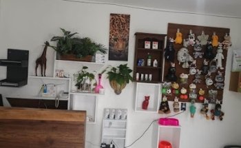 ADN ALPHA Hospital Veterinario