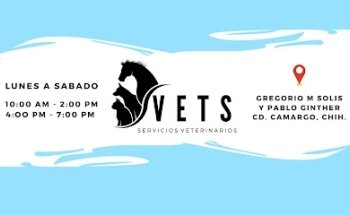 VETS Servicios Veterinarios