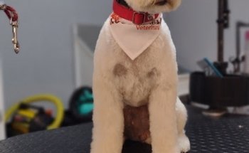 Clínica Veterinaria Cocoxcalli