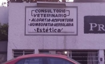 Homeopatía y Acupuntura Veterinaria (MVZ Dipl. Alejandro Fuentes Miembro del Colegio de Profesionales en Med Vet))