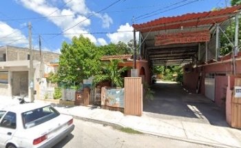 Mi Pequeño Jaguar Servicios Veterinarios