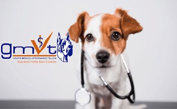 GMVT - Clínica Veterinaria - Suc. Valle Don Camilo