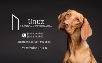 Uruz Clínica Veterinaria - Chihuahua