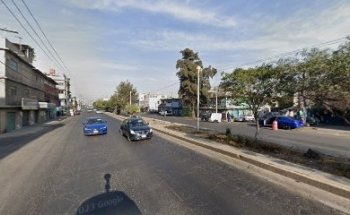 Consultorio Crocodylía De México