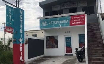 Dobby veterinaria