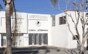 VETCOON Clínica Veterinaria