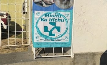 MISITU KA UICHU