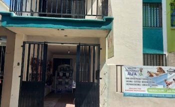 Medico Veterinario Alfa