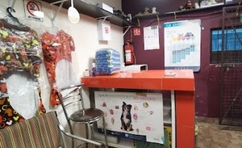 Clínica Veterinaria ARES