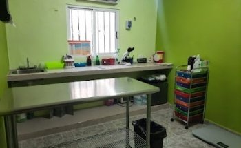 Central Veterinaria Mejorada