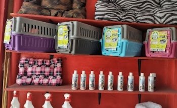 DOGGYS SERVICIOS PARA TU MASCOTA