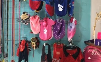 Clinica Veterinaria Kawatzin