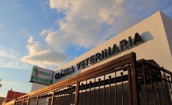 Clínica Veterinaria Palomo