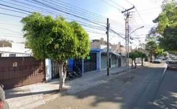 Pets Glamour Holistico