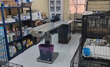 La Casa De Los Animales