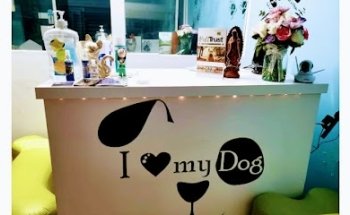 Clínica veterinaria Bark & Meow