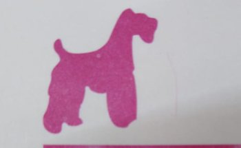 Clínica para animales