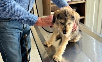 Clínica Veterinaria Samy