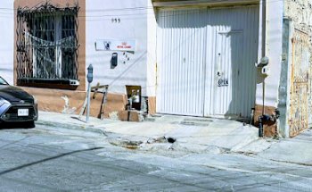 Pet Set Veterinaria Medica Integral