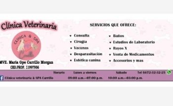Clínica Veterinaria y SPA Carrillo