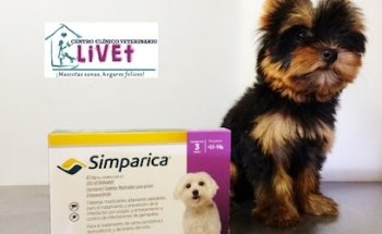 Centro Clínico Veterinario Klivet