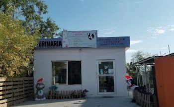 Frenchies Pets Sabinas