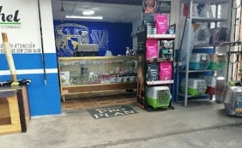 Servicio Médico Veterinario Bethel