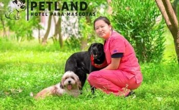 Petland Hotel para Mascotas