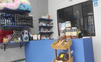 Centro Veterinario MedVed