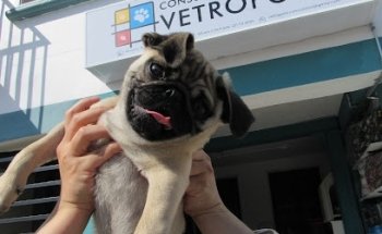 Vetrópolis Consultorio Veterinario