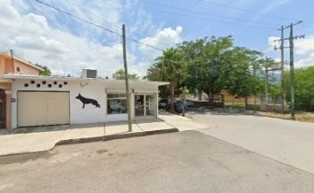 OceaNus, acuario y mascotas