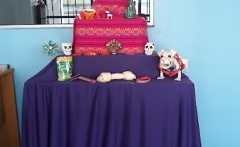 CLINICA VETERINARIA INTEGRAL