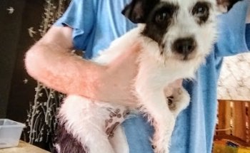 Colina Spay & Neuter Clinic