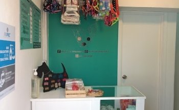 MICHICAN Veterinaria