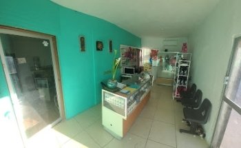 Clinica Veterinaria Rabitos