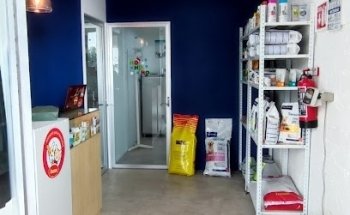 Veterinaria TocToc VET- consulta veterinaria. Estética canina.