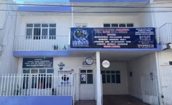 Miau centro médico felino