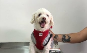 HAPPY ANIMALS VETERINARY URDANETA