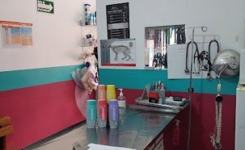 Peek Miss Consultorio Veterinario