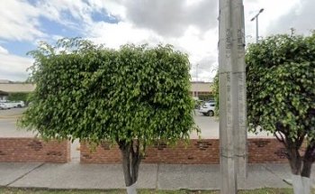 BN SERVICIOS VETERINARIOS