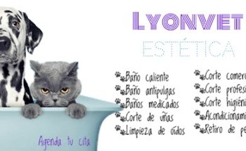 Lyonvet Veterinaria