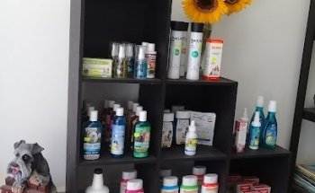 Veterinaria Huellitas de Colores