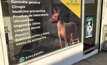 Xolo’s veterinaria